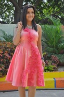 Padmini Gallery
